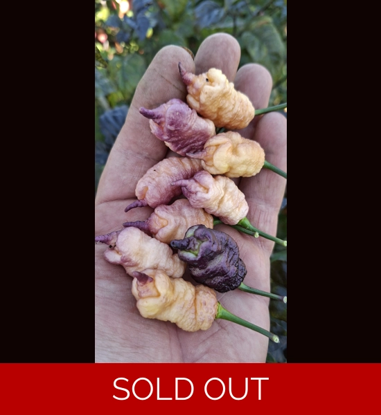 Reaper Pink peach  (10+seeds)